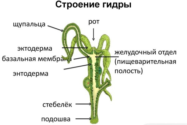 Kra35.cc
