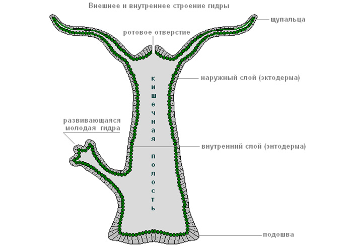 Пополнить кошелек кракен