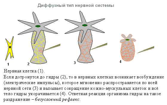 Кракен 2kraken biz